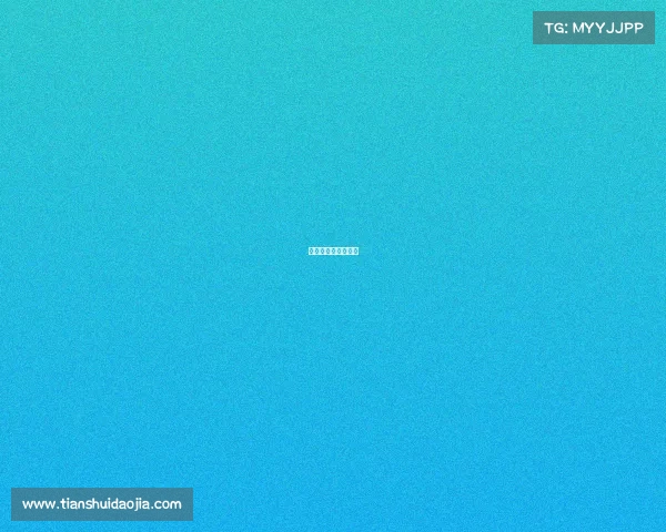 中国电子互联网公司