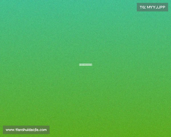 电子竞技全运会比赛